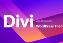 Divi 4 20 4 – The Most Popular Wordpress Theme